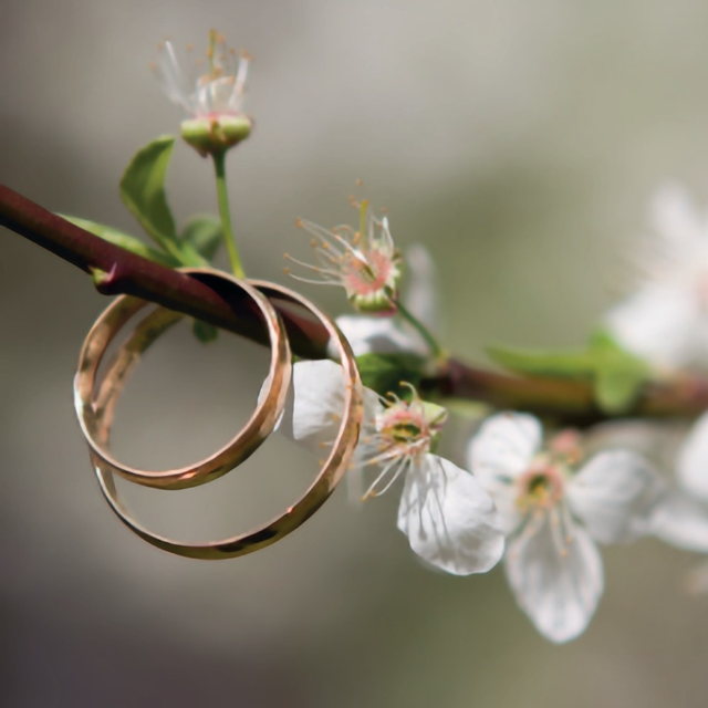 The Unbreakable Collection  Beautiful Jewellery, Handbags 